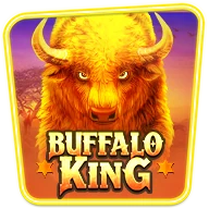 Buffalo King
